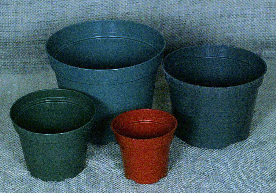 6 inch Flower Pot (Qty. 100), Nursery Container, Greenhouse Azalea