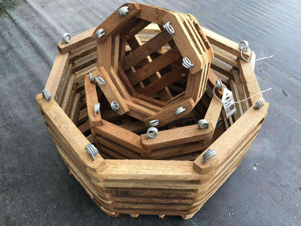 Octagon Vanda Basket - Tropiflora