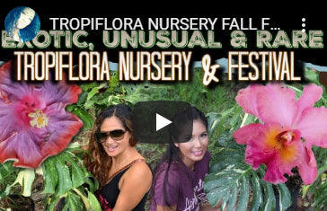 Tropiflora featured on Maria Young's YouTube Channel M.Y. Orchid Adventures!