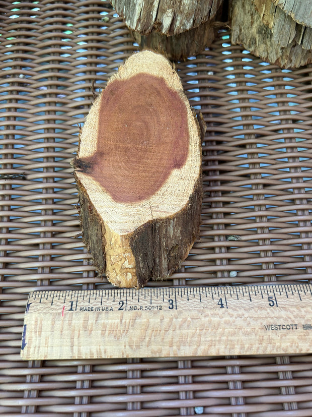 Red Cedar Wood Round Slices