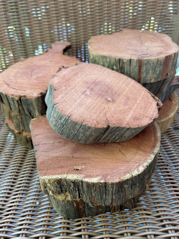Red Cedar Wood Round Slices