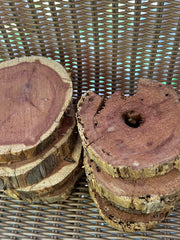 Red Cedar Wood Round Slices