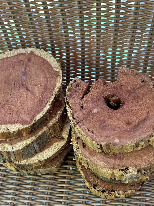 Red Cedar Wood Round Slices