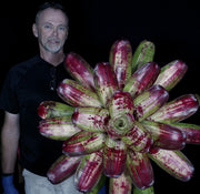 Neoregelia 'Bad Boy Brian'