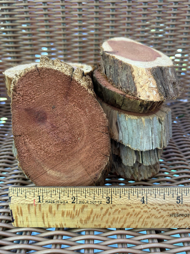 Red Cedar Wood Round Slices