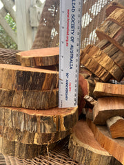 Red Cedar Wood Round Slices