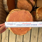 Red Cedar Wood Round Slices