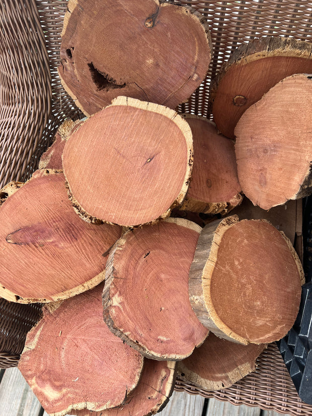 Red Cedar Wood Round Slices