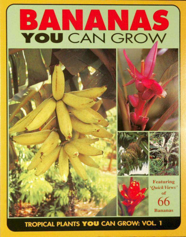 Bananas You Can Grow - Tropiflora