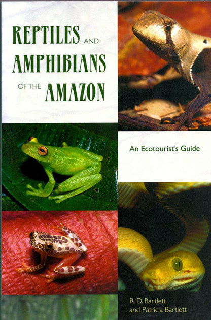 Reptiles and Amphibians of the Amazon – Tropiflora