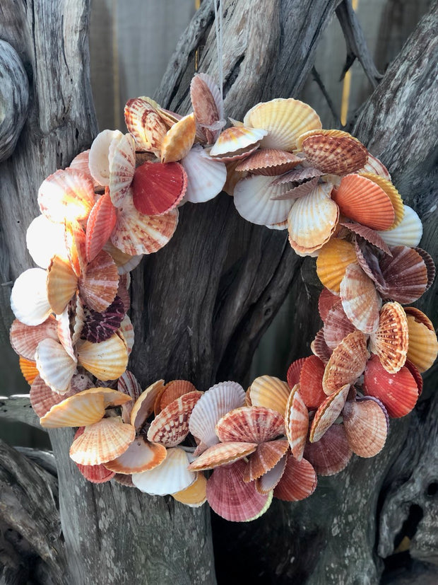 Shell Weath Shell Wreath – Tropiflora