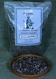 Tropiflora Succulent Mix - Tropiflora