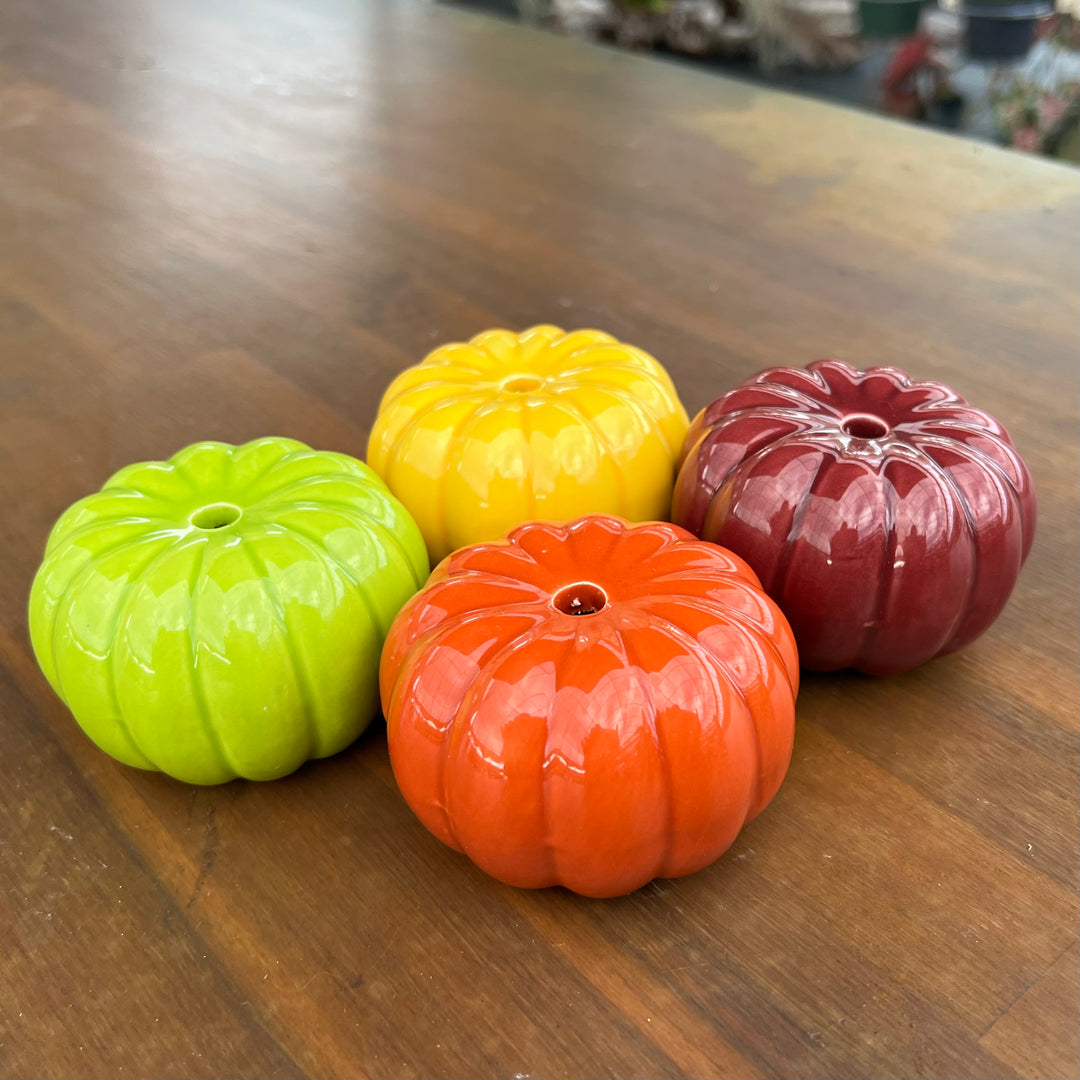 Autumn Pumpkin Planters, 4-pack – Tropiflora