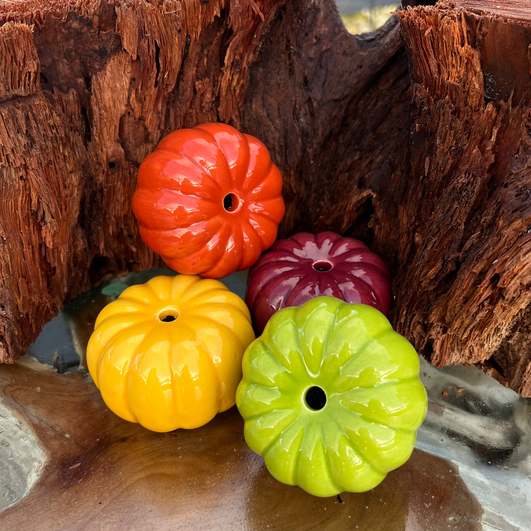 Autumn Pumpkin Planters, 4-pack – Tropiflora
